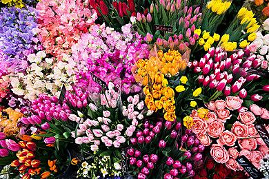 《文明6》steam周末免费玩 同时开启限时特惠